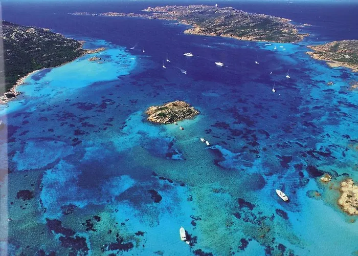 Milu - Milu Holidays